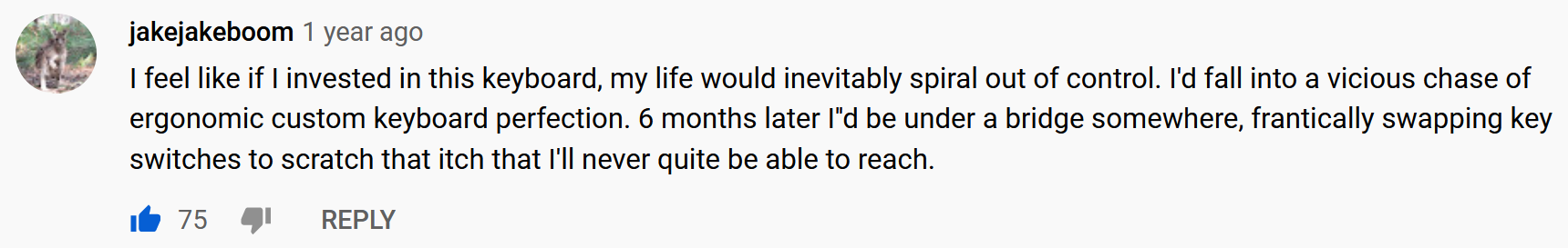 Youtube comment by user jakejakeboom: “I feel like if I invested in this keyboard, my life would inevitably spiral out of control. I’d fall into a vicious chase of ergonomic custom keyboard perfection. 6 months later I’d be under a bridge somewhere, frantically swapping key switches to scratch that itch that I’ll never quite be able to reach.”